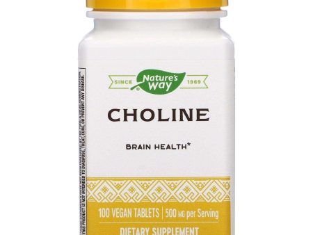 Choline 500 mg, 100 Vegan Tablets - Natures Way Supply