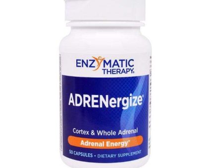 ADRENergize - 50 Capsules - Enzymatic Therapy Cheap