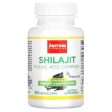 Shilajit Fulvic Acid Complex 250mg, 60 Capsules - Jarrow Formulas Online