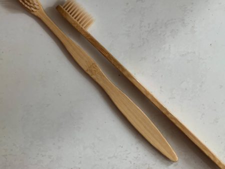 Kalya Shastra Bamboo Brush Hot on Sale