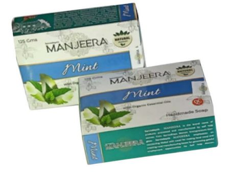 Manjeera Mint Leaves Hand Made Soap Online now